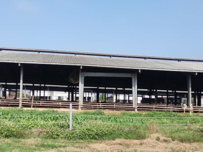 奶牛场-新造寨、隔离区改造
